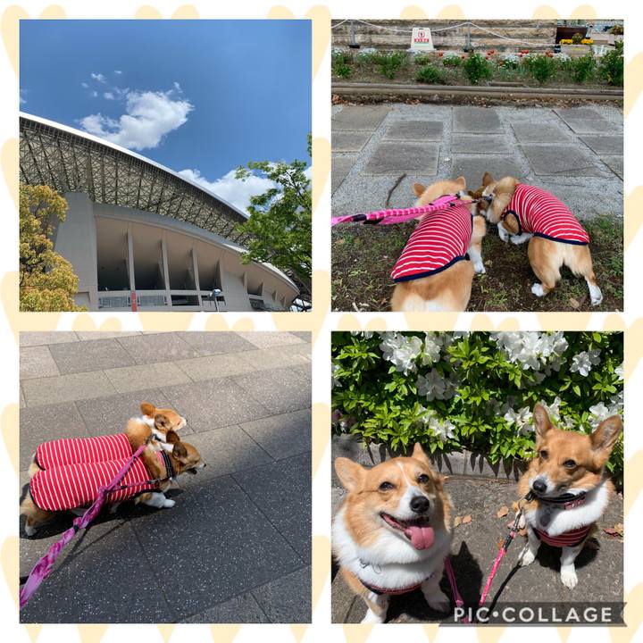 4b700ce9 5f7a 4f02 a7a1 7c61498254d4 1587706638363