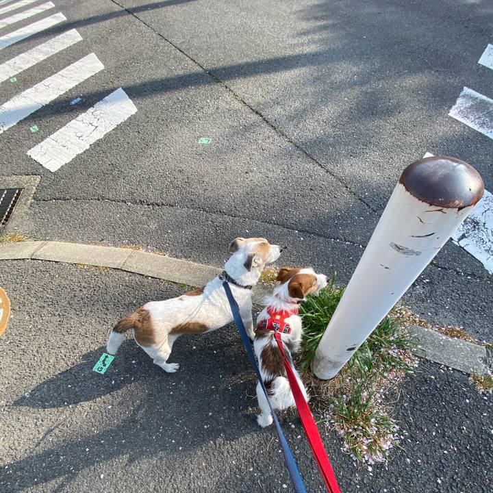 4b7012ea 16ab 4771 80ec 57c43180ce99 1649373605163