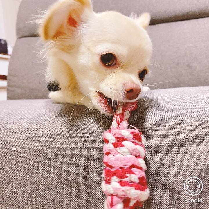 4b701c6b 3e03 437d 9949 61833cedfaed 1606537969007