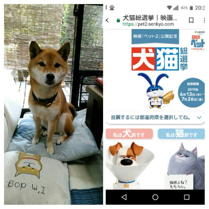 4b70267f a2ed 4ff7 b064 1a076b77eaa3 1563709062543