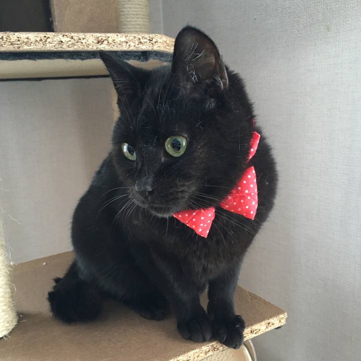 4b70600b ac70 4c38 a3bd 448f9cf31ad7 1546213169607