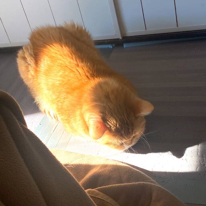 4b70aa41 11a3 4b21 a59d a9904abcb6f9 1672623466399