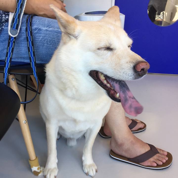 4b70bc03 54bc 4d10 ae8f 41168a92c65b 1536580041391