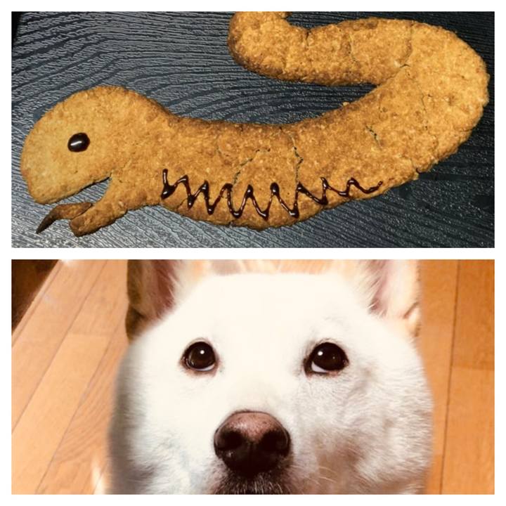 4b70bce4 4c32 494d 9c44 ca41834ca88b 1767186735761