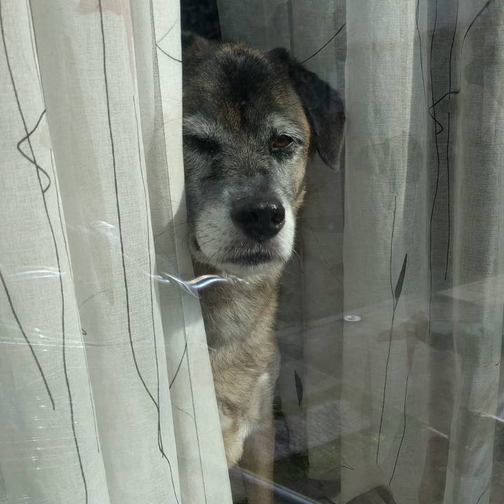 4b70c0d0 6714 4da3 8a1c 21fb851cbab5 1686089012026