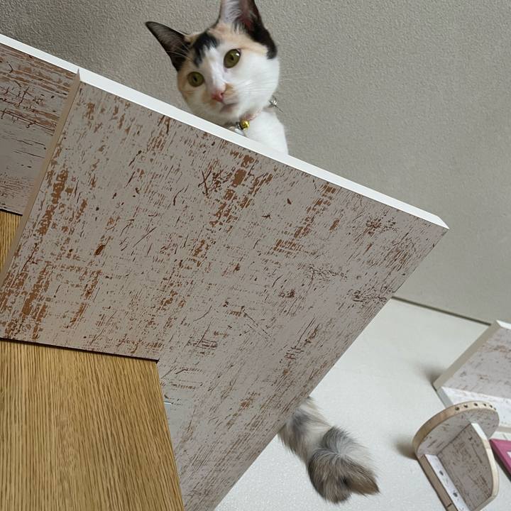 4b70e7a7 7603 4b30 beb2 72943f4ec8c5 1679882050296