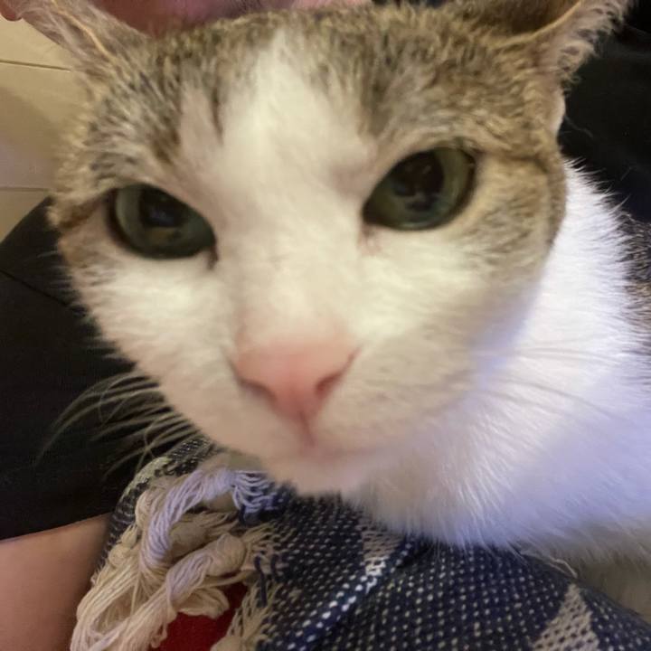 4b70f1bf 4f0e 4f8b 98d5 46ae97e9db1c 1624966256300