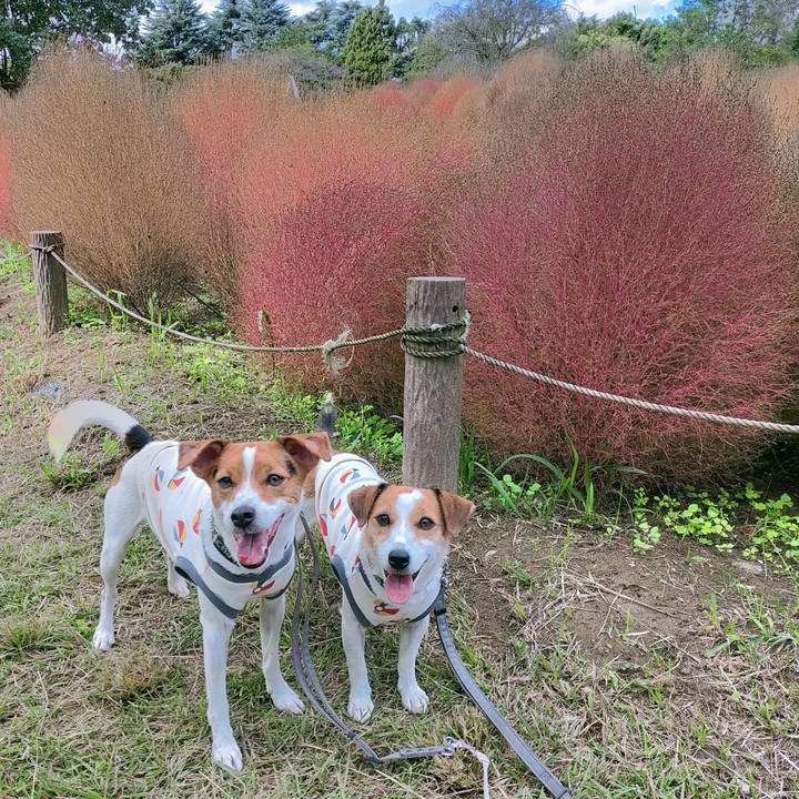 4b70f62f 205e 4f71 bb3b 2fdc0c510664 1761554322688