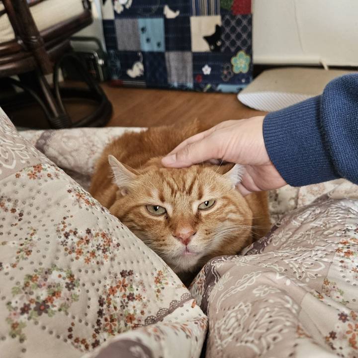 4b70fd3e 84b9 4fa8 aedf 5358e647513a 1703915158076