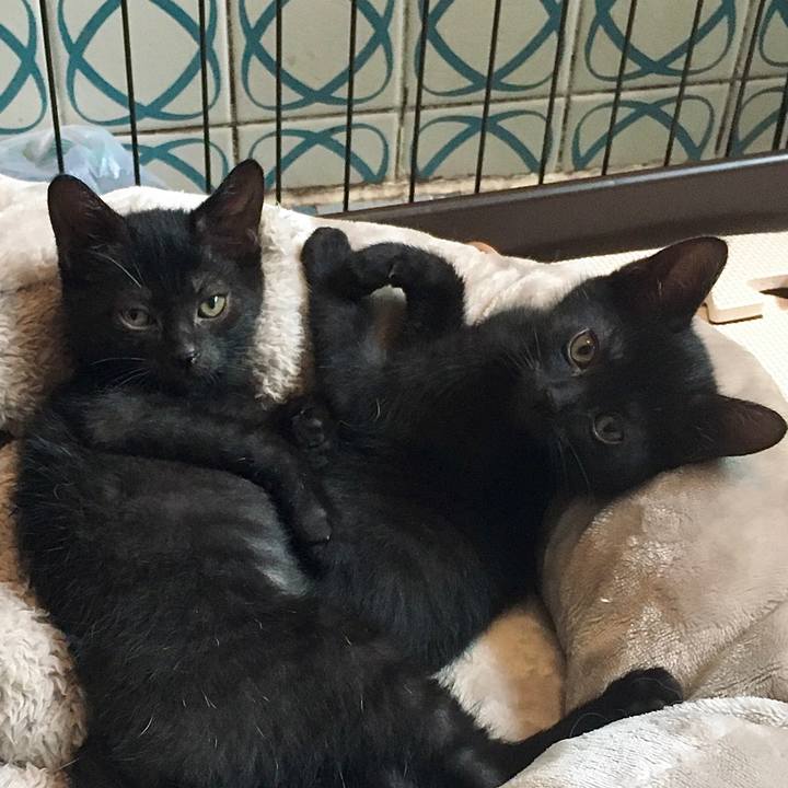 4b710036 cbe0 42e2 8a02 b9df5a393138 1625124346774