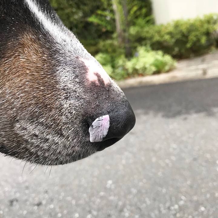 4b7105df deb0 4d5f 80c5 17dddc1d526c 1522972561261