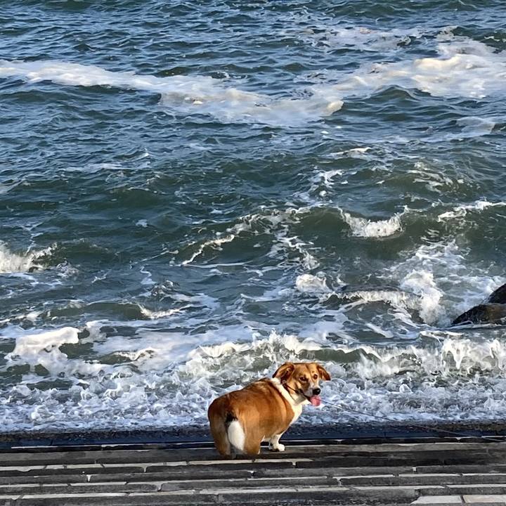 4b71062e 264d 4338 aa7a 4f90f4c09d1f 1692107116953