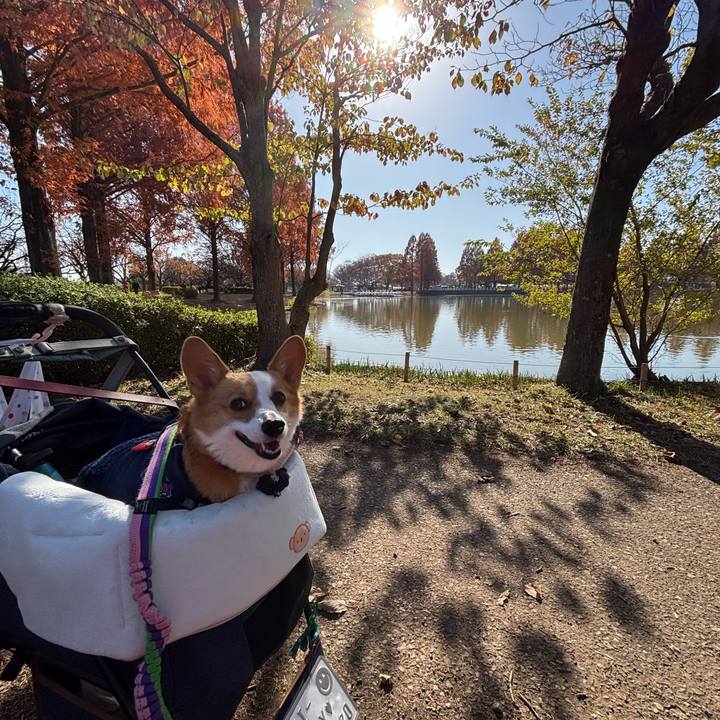 4b714395 fa26 4b43 b159 ae2da2f8c936 1764519016342