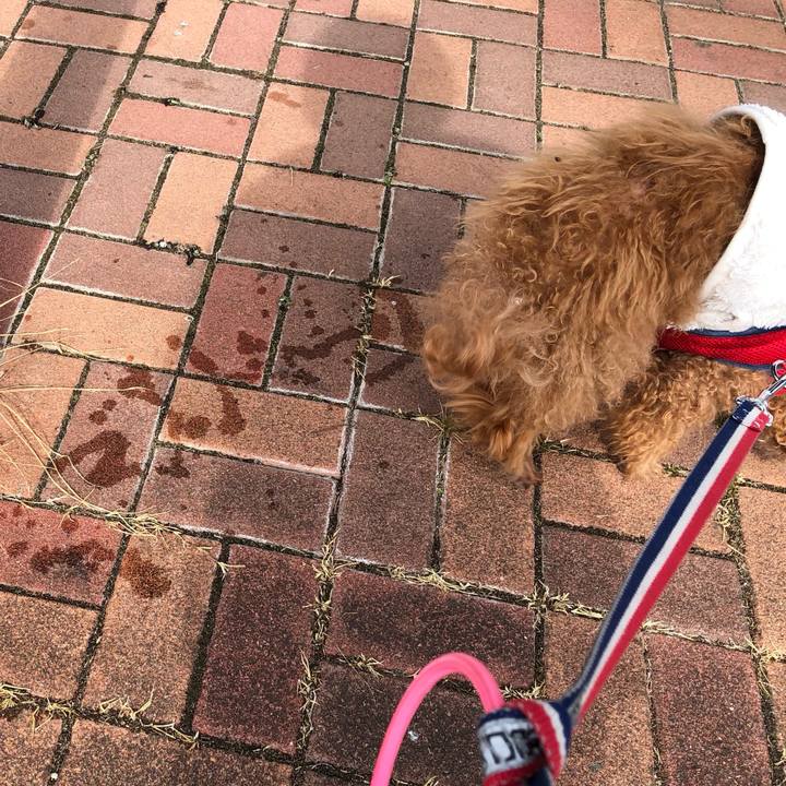 4b717b27 a39e 4a6e 8038 f793781936b3 1678764093110