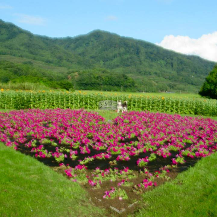 4b7188ee d094 4e34 b598 34288b606b56 1723761445798