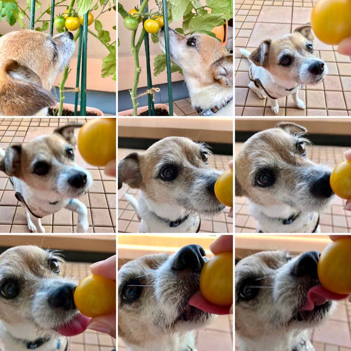 4b71989f 1cda 4807 ac6c 2d5ad14819e1 1624667405396