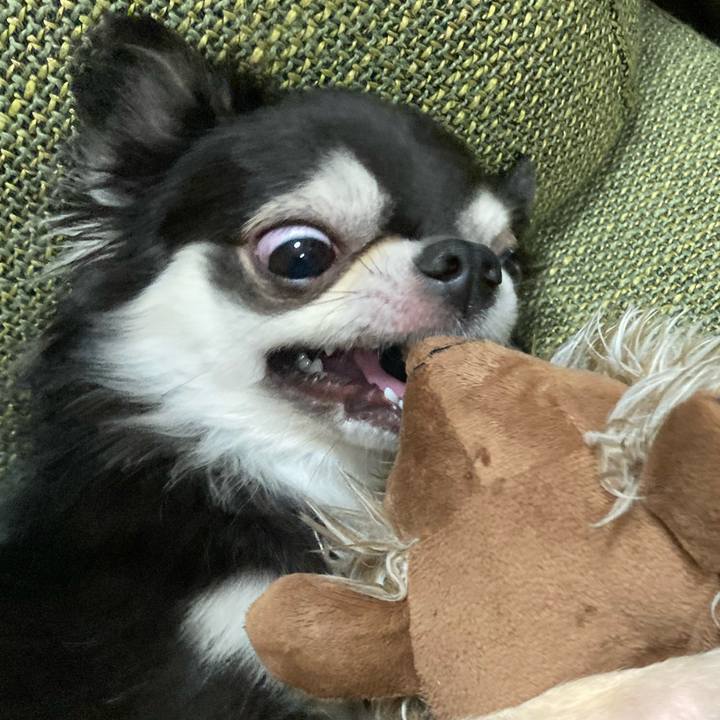 4b719f88 6784 42e9 b209 37e93fcb8088 1663421686661