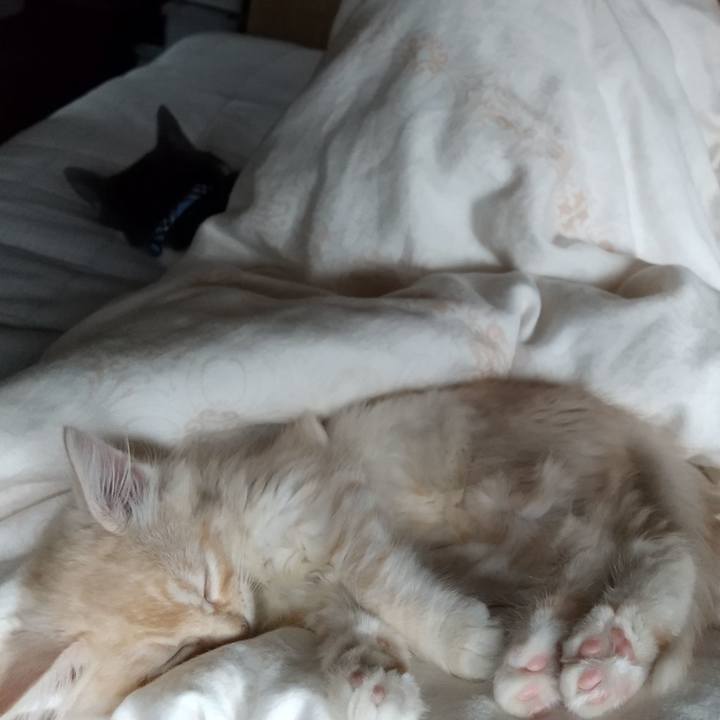 4b71a234 47b8 4ac8 99d7 22a093f74009 1603331198694