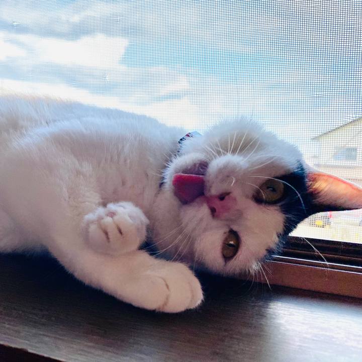 4b71b9ab 5a7a 4343 aaaf 32e71a319f46 1659861153635