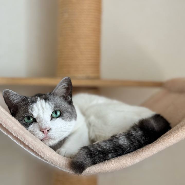 4b71d83e 81b1 48b5 81f7 ea2e0e204ab5 1727143996575