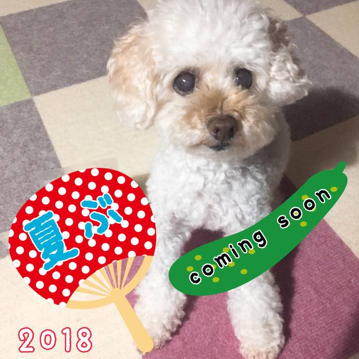 4b71e858 dcaf 48f2 9bc9 d42577fa854f 1531609067562