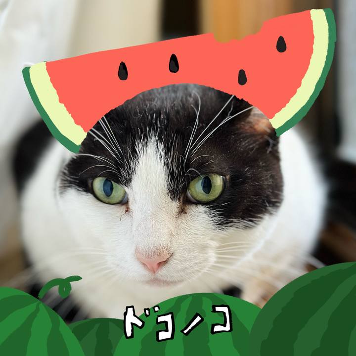 4b71f4d1 fac9 4cdf 97b1 6c636eb88fb3 1720833945497