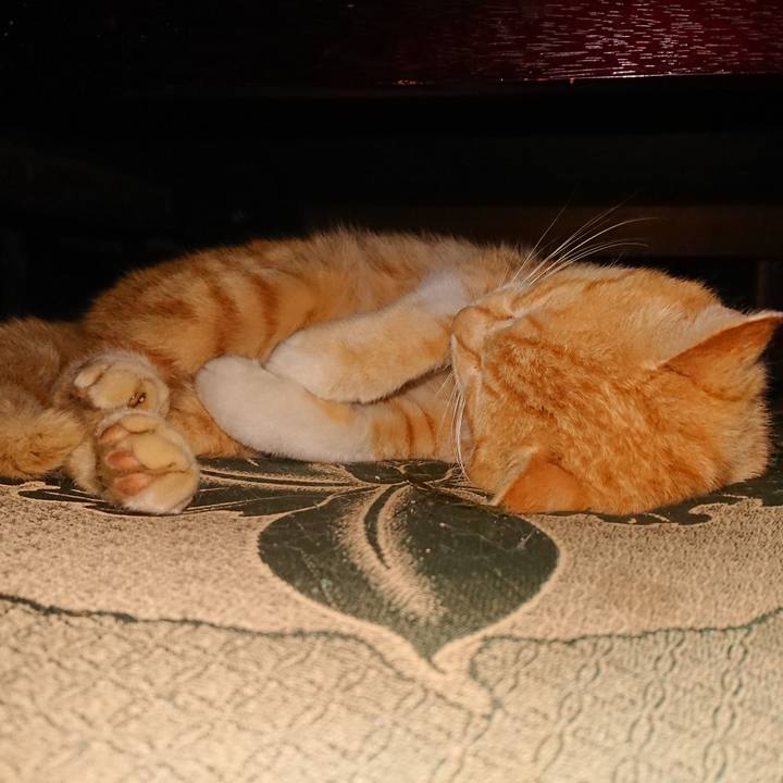 4b71fb96 837a 441a b19e 635565455885 1556803457650