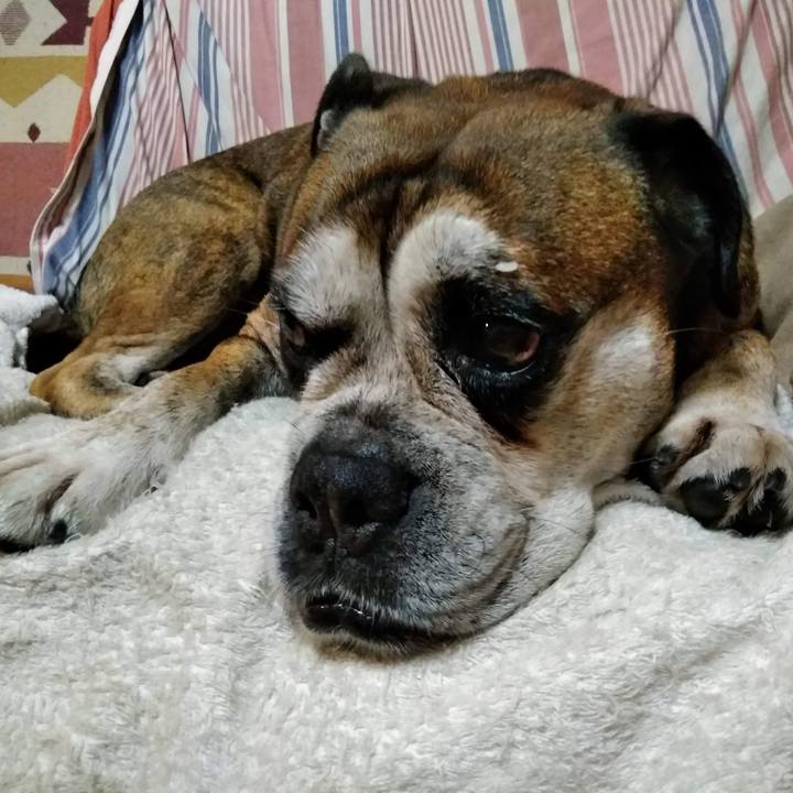 4b722f44 45de 4b35 98ba 493de56de41a 1568031302279