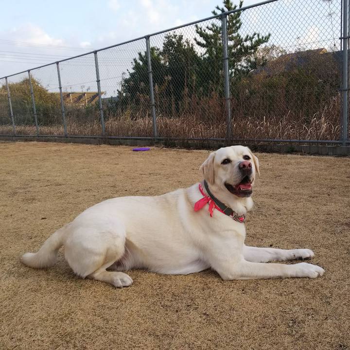 4b723e59 5256 4fd6 bf90 b3e00c786b58 1514106515857