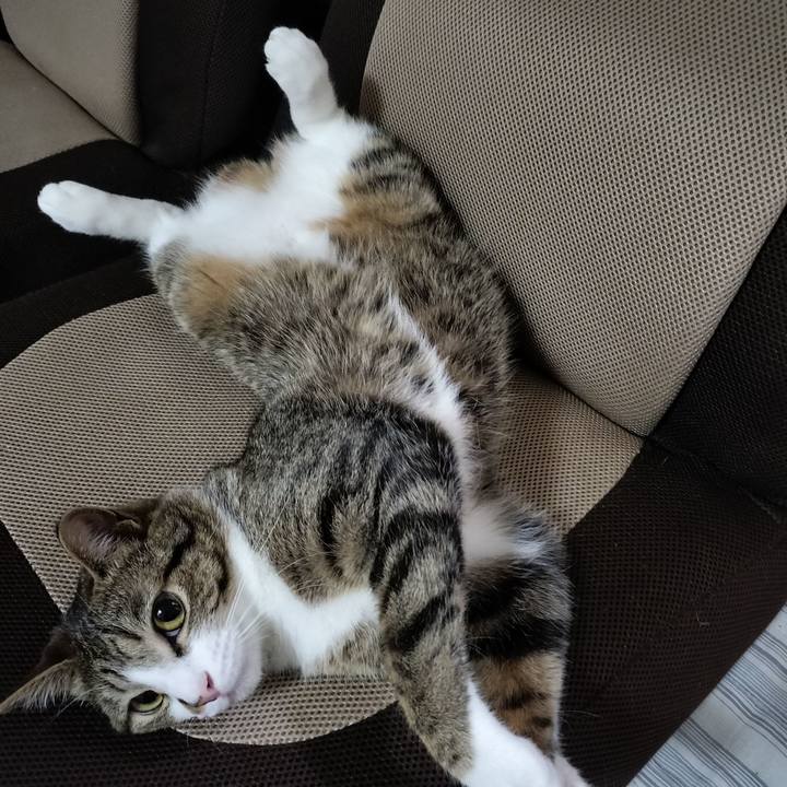 4b724db3 ca5a 4521 96d6 827080fe4db8 1686086966060