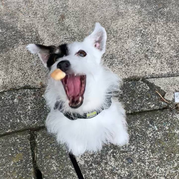 4b728243 81d9 4daa 9d27 489963a121c9 1752189034719