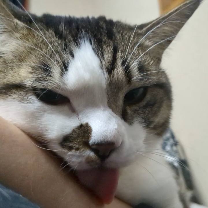 4b72b2e0 5807 4310 b8b4 673730e062d4 1741057857260