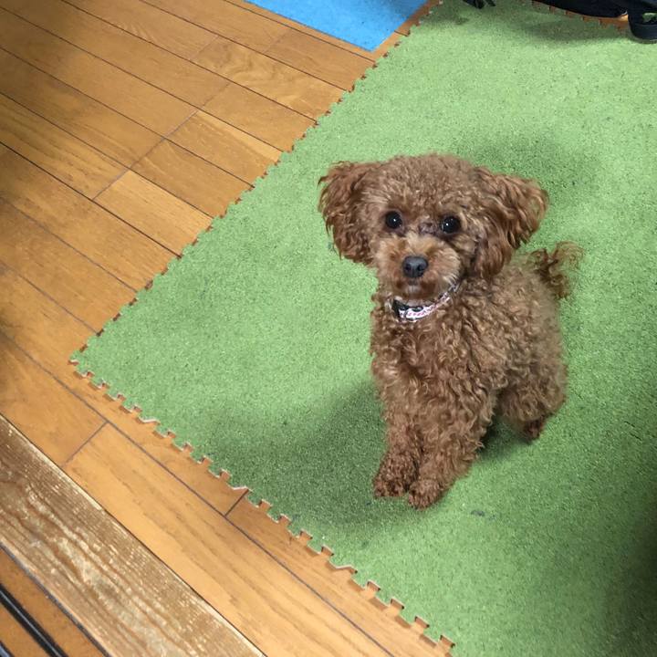 4b72be8b 738f 481a a626 eb0ea9d7eb32 1516096226553