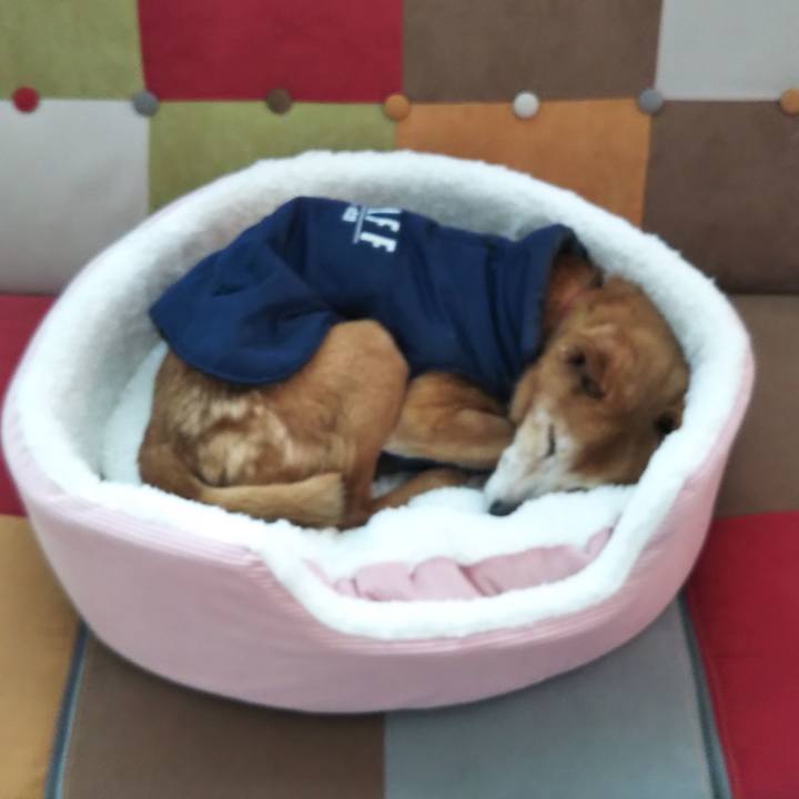 4b72d4fd 9156 43dc 9fff 78bddcfdf865 1609392479187