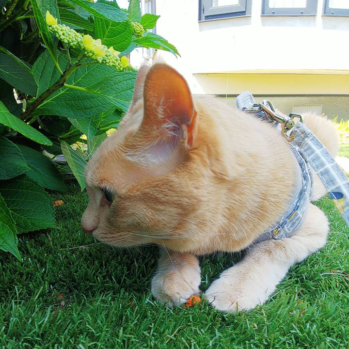 4b72fb65 6638 4cf0 8b53 fa351867b2b5 1688526995530