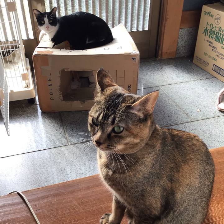 4b730544 89c6 4079 8850 20cab82daf00 1638150186091