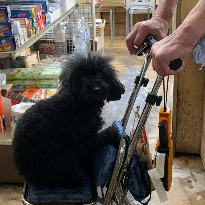 4b73136a 9a25 4c31 9e6a c101d5906bec 1600678418781