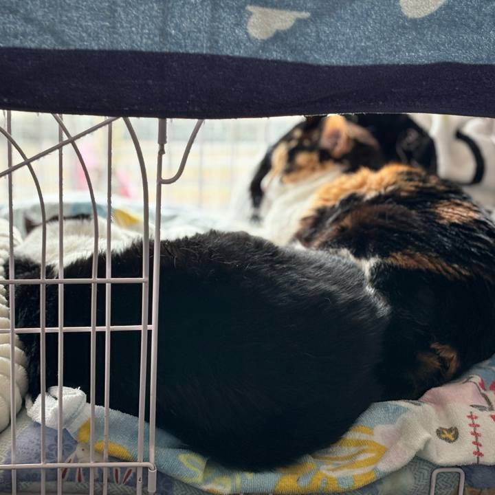 4b73a94e 5a44 4f23 b331 df1507de19cd 1776566434741