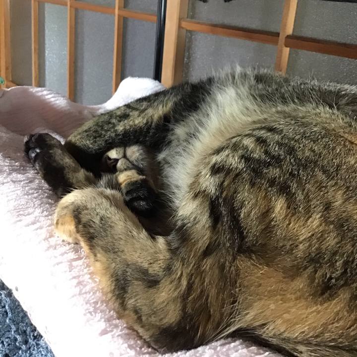 4b73b947 1dc7 4a88 9c11 71f9c2436e77 1685270427187