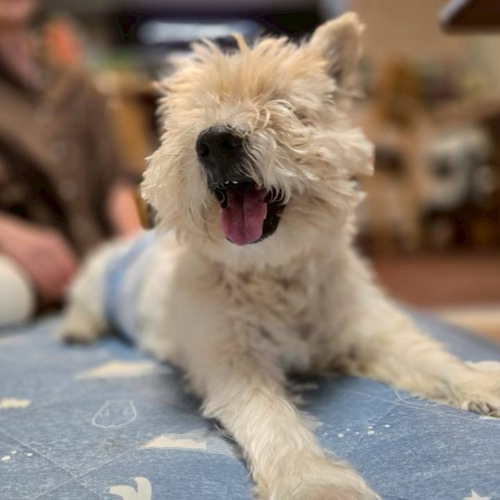 4b73d369 25cc 4b16 9af8 6560c0c13796 1750936624970