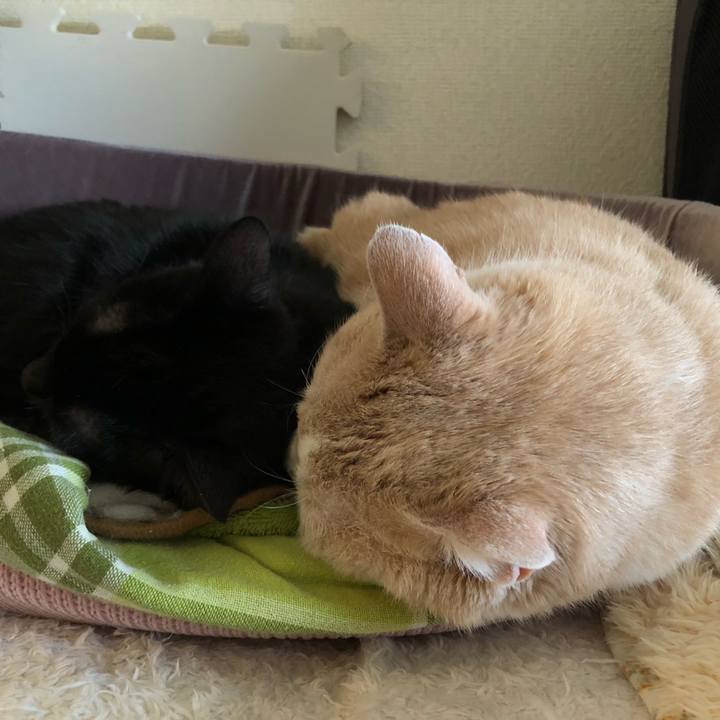 4b73ed0b 2a96 4745 a7c4 88902a75a1b1 1609648002494