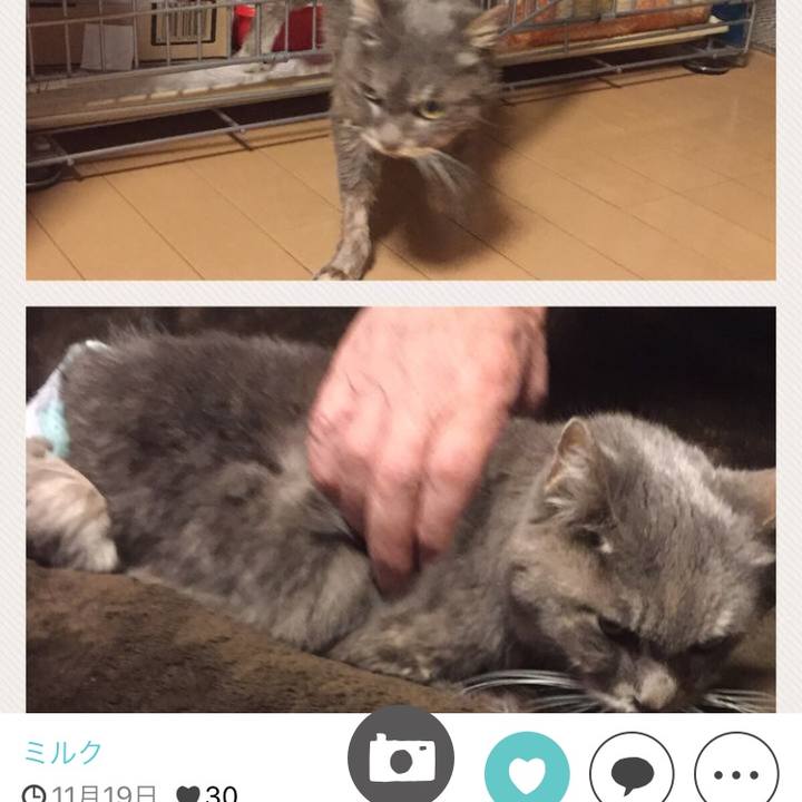 4b741875 3e63 485a a029 1bddd377ae1b 1511691220829