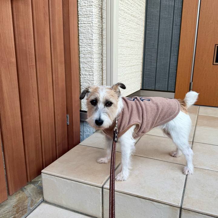 4b744895 184f 466c 9453 1411ced541ab 1763727808076