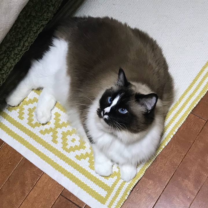 4b74565a 7735 414e a7db 91a70dff1989 1524795984205