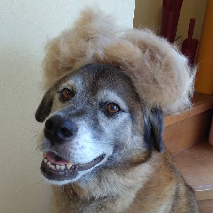 4b749019 7230 4865 9912 ea5363b4cc7c 1564896620681