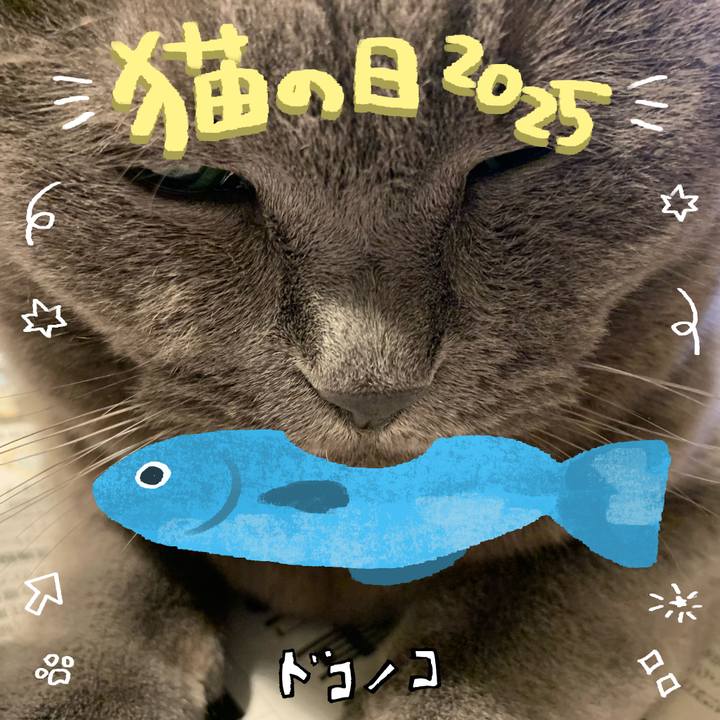 4b7495d1 948e 4557 934d b8cf52da858a 1740192194321