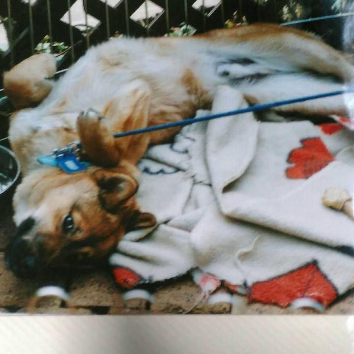 4b749b79 54f0 4cc7 a147 462c1620575c 1543677389638