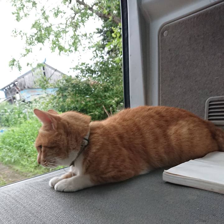 4b74cb09 b5c8 4156 8b92 4865ed68f380 1595581352355