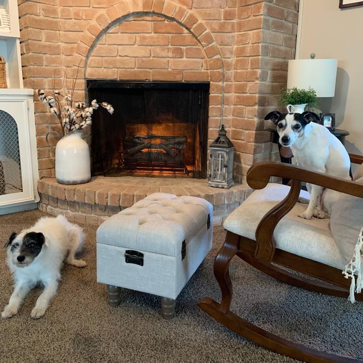 4b751f1d 484f 4469 826e 6732723570a6 1604788861799