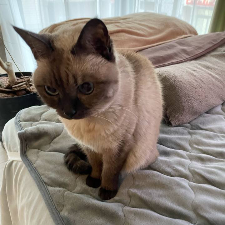 4b752288 5266 4f9e 889b 759414d0cd63 1764023216076